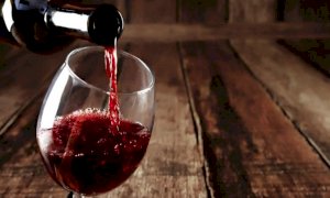 Confindustria alla scoperta delle tendenze del mercato vitivinicolo al Pala Alba Capitale