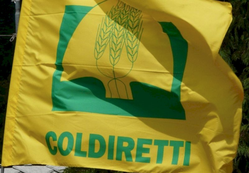 PAC, Coldiretti Cuneo: "Serve subito impegno per attuazione a livello nazionale"