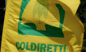 PAC, Coldiretti Cuneo: 