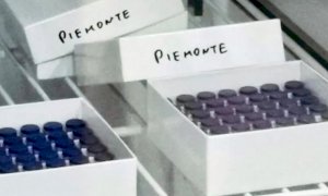 Oggi in Piemonte somministrate 20.171 dosi di vaccino anti Covid
