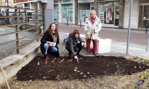 Alba: tremila bulbi di tulipano donati alla città dal Castello di Pralormo