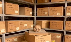 Il Museo Eusebio di Alba svela i suoi depositi sotterranei