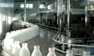 Tavolo del latte, l'assessore regionale all'Agricoltura: “Le aziende agricole necessitano di risposte urgenti