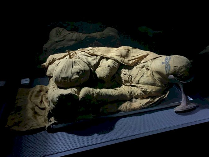 Bra, prorogata la mostra “L’uomo svelato. Studi e restauro di una mummia egizia di 4500 anni”