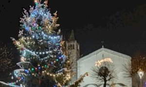 Rifreddo, il grande albero di piazza della Vittoria accende il Natale
