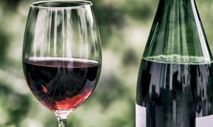 Bergesio, Lega: “Fermiamo il boicottaggio dell’Ue nei confronti del vino italiano”