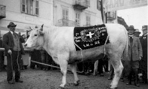Venerdì 17 dicembre la Fiera Internazionale del Bue Grasso di Carrù raddoppia