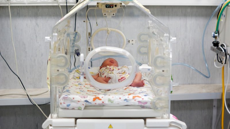 Cuneo, quasi 600 panettoni e pandori comprati per sostenere l’acquisto di un’incubatrice neonatale