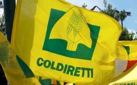 Coldiretti Piemonte, Pnrr: "Firmato il decreto sui contratti di filiera da 1,2 miliardi"