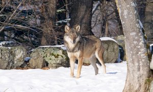 Entracque, il centro 