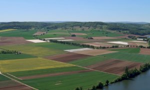 Psr Piemonte: 335 mila euro per la conservazione del patrimonio vegetale locale in agricoltura