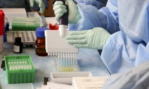 La variante Omicron è prevalente anche in Piemonte: rappresenta il 77% dei nuovi casi