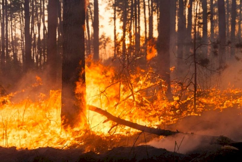 Incendi boschivi, lunedì scatta lo stato di massima pericolosità in tutto il Piemonte