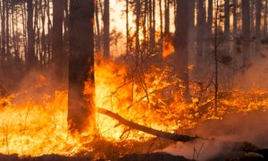 Incendi boschivi, lunedì scatta lo stato di massima pericolosità in tutto il Piemonte