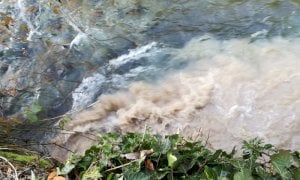 Covid, Arpa conferma: la variante Omicron predominante in tutto il Piemonte