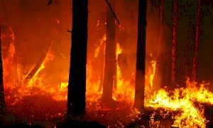 Proseguono le operazioni per spegnere l'incendio boschivo di Sanfront