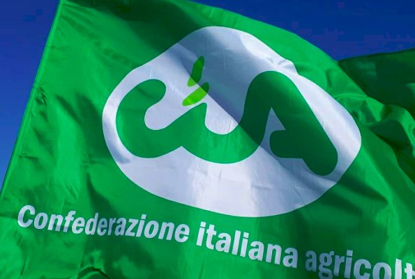 Peste Suina, Cia Piemonte: "Folle macellare suini sani e lasciare i cinghiali in libertà"