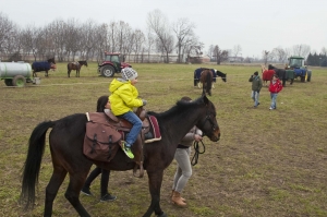 Giornata con gli amici a 4 zampe