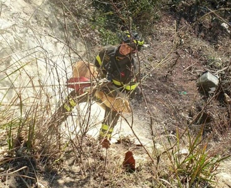Nel dirupo per salvare un cane: l’azione dei pompieri speleologi a Neviglie