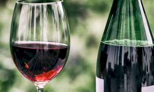 Pratiche commerciali sleali, l'impatto della nuova normativa sul settore vitivinicolo
