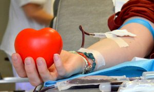 L'Avis di Bra ed Alba cerca personale medico e infermieristico per l’attività di raccolta del sangue