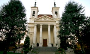 Bra, tre alberi a rischio caduta in viale Madonna dei Fiori: saranno sostituiti