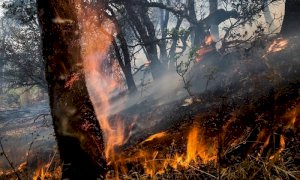 In Piemonte, dal 1° gennaio, 202 interventi per lo spegnimento di incendi boschivi