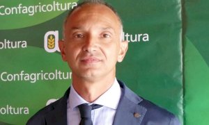 Peste Suina Africana, Confagricoltura chiede alla Regione un piano urgente per il controllo dei cinghiali