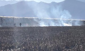 Incendio di sterpaglie a San Pietro del Gallo, sul posto i Vigili del Fuoco