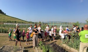 Alba si aggiudica un importante contributo europeo dei bandi Alcotra per il progetto “Biodiversità stellata”