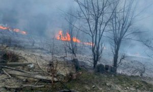 Incendi, Coldiretti Cuneo: 