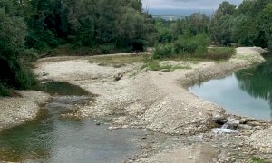 Emergenza siccità: “Interventi urgenti e strutturali per salvare l’agricoltura piemontese e italiana”