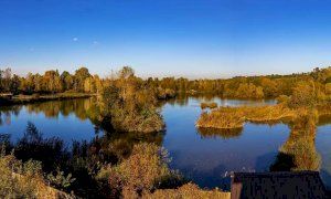 Passante colpita da una scarica di pallini nel Parco Fluviale: Europa Verde chiede chiarezza