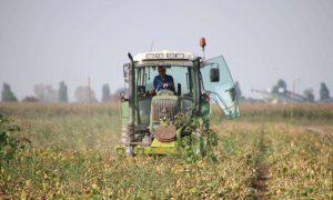 “Tutto aumenta, ma gli agricoltori vendono sempre allo stesso prezzo. Basta speculazioni”