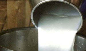 Latte, Coldiretti Cuneo: 