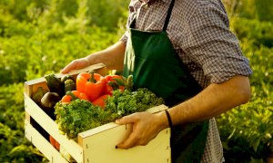 Decreto Sostegni Ter, Bergesio (Lega): “Più misure a supporto del comparto agricolo italiano”