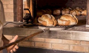 Lievita il costo del pane, le imprese in sofferenza per gli aumenti di energia e materie prime