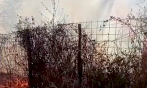 Incendio boschivo a Murazzano, nella zona del Parco Safari: incolumi gli animali