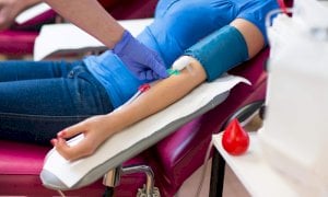 In Piemonte donazioni del sangue a rischio per carenza di personale: il tema in Consiglio regionale