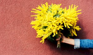Giornata della Donna: due gli appuntamenti in calendario a Verzuolo