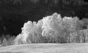 Pronti a mettere a fuoco l'obiettivo? Al via i corsi di fotografia del Progetto Har