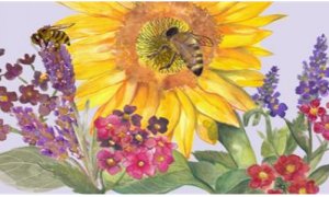 Rifreddo, il Comune aderisce al progetto +Api promosso da CRC e Agrion