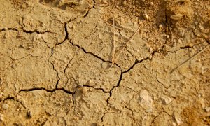 La siccità preoccupa gli agricoltori: 