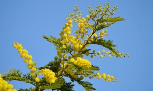 Proseguono gli appuntamenti di “Marzo donna”