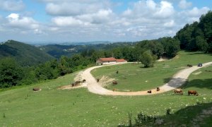 Il Parco Safari di Murazzano apre le sue porte gratuitamente ai profughi ucraini