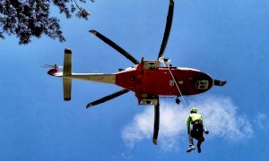 Schiacciato dall'albero che stava tagliando, ferito un pensionato