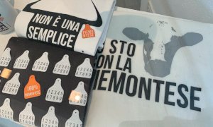 Stati generali della Razza Piemontese, sabato il primo appuntamento
