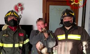 Dronero, intervento dei vigili del fuoco per salvare un gatto incastrato in un termosifone