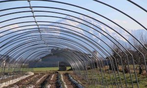 “I contributi dei bandi Psr andrebbero rivisti, sono riferiti ai costi degli investimenti di mesi fa”