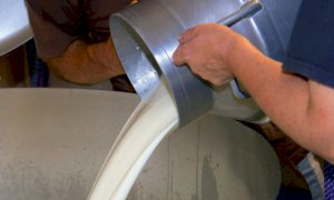 Confagricoltura Piemonte: 